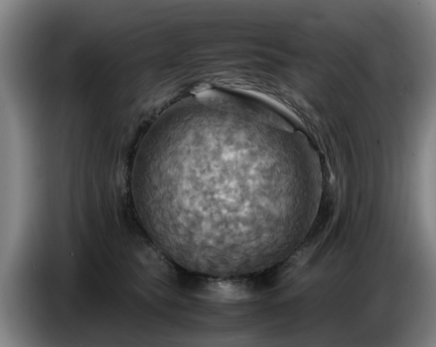X0000086770565200704201807