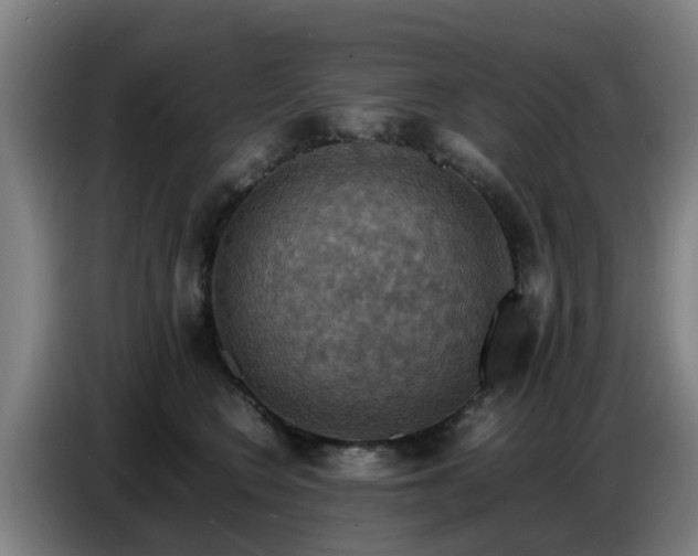 X0000086770566200704201807