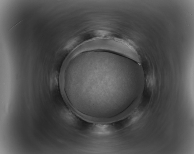 X0000086770570200704201807