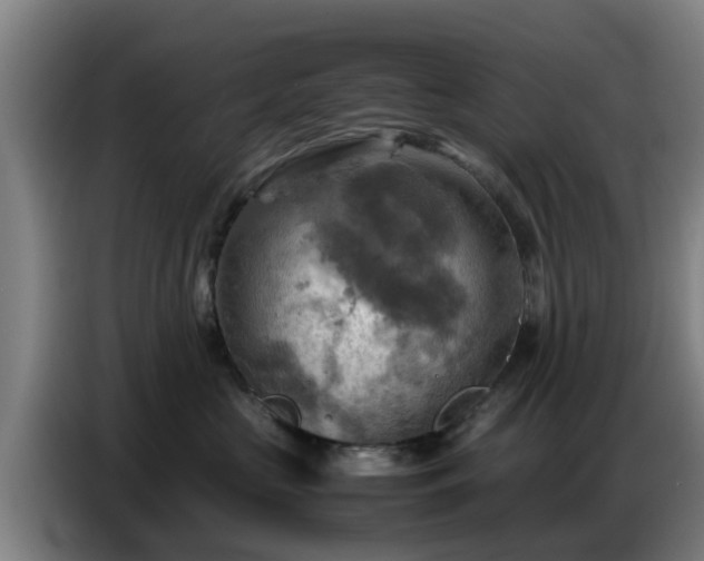 X0000086770573200704201807