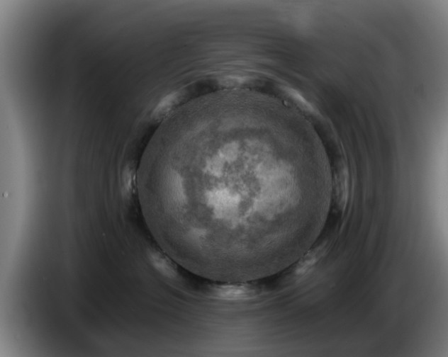X0000086770574200704201807