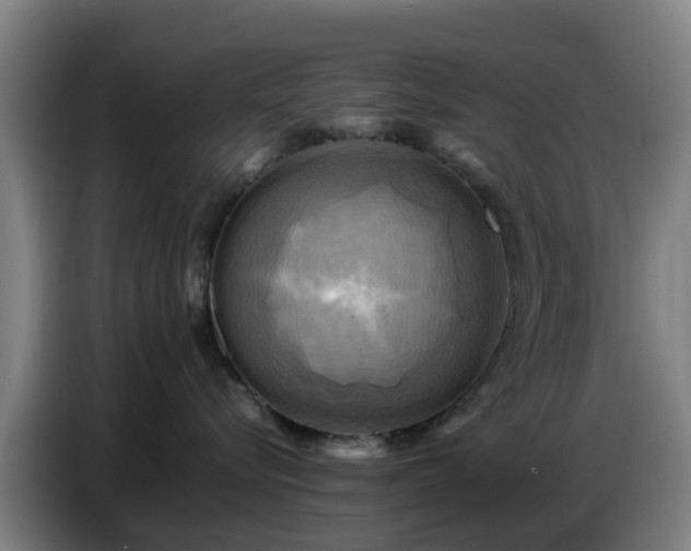 X0000086770576200704201807