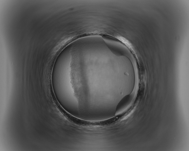 X0000086770577200704201806