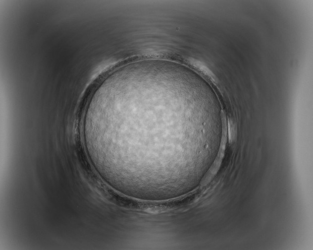 X0000086770579200704201806
