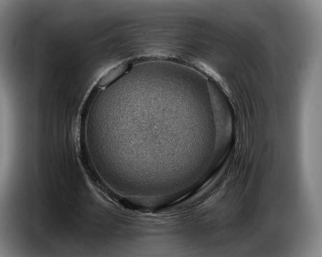 X0000086770580200704201806