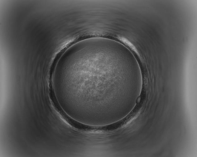 X0000086770581200704201806