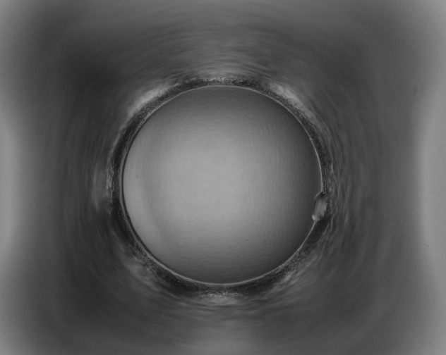X0000086770583200704201806