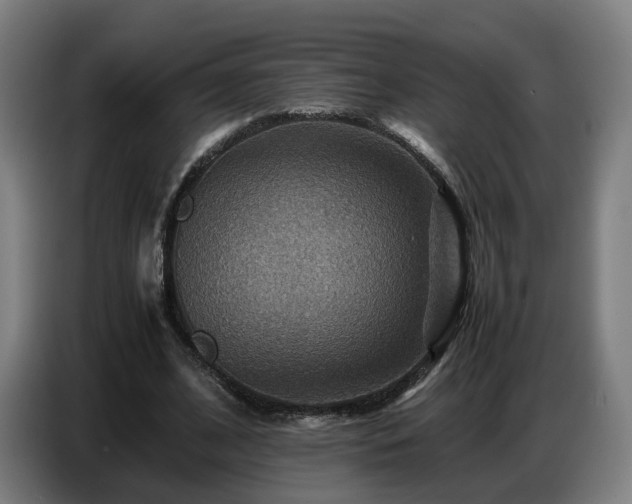 X0000086770584200704201806
