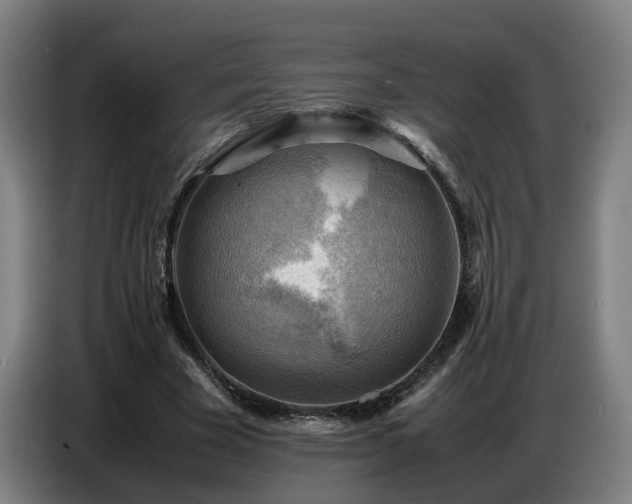 X0000086770585200704201806