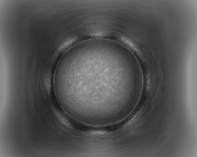 X0000086770586200704201806
