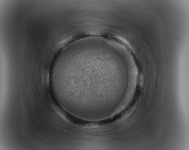 X0000086770589200704201806