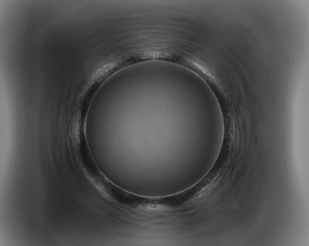 X0000086770590200704201806