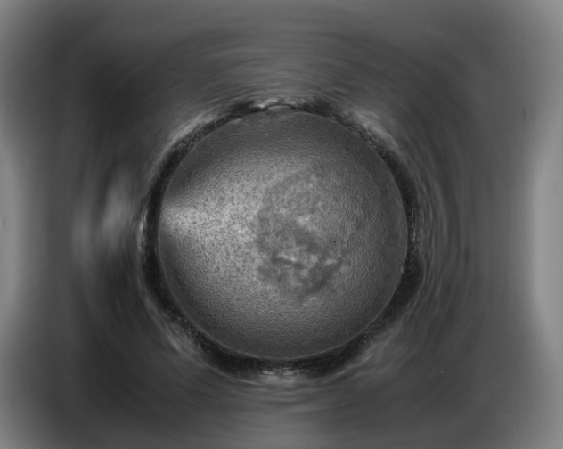 X0000086770591200704201806