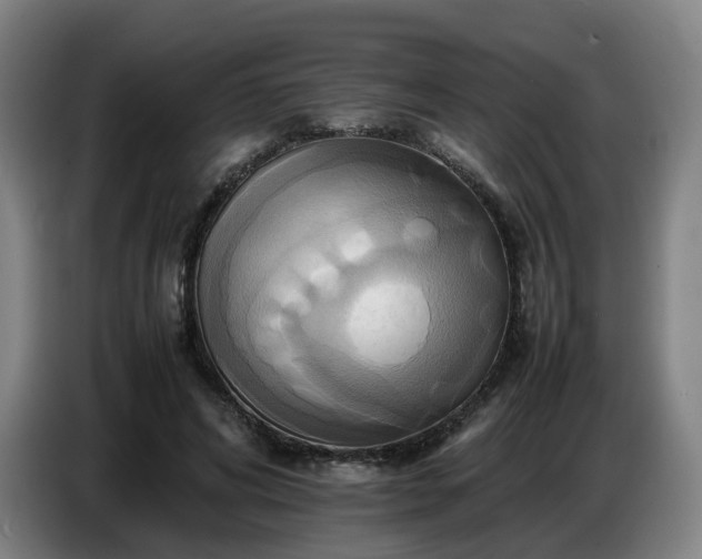 X0000086770592200704201806
