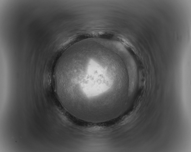 X0000086770593200704201806