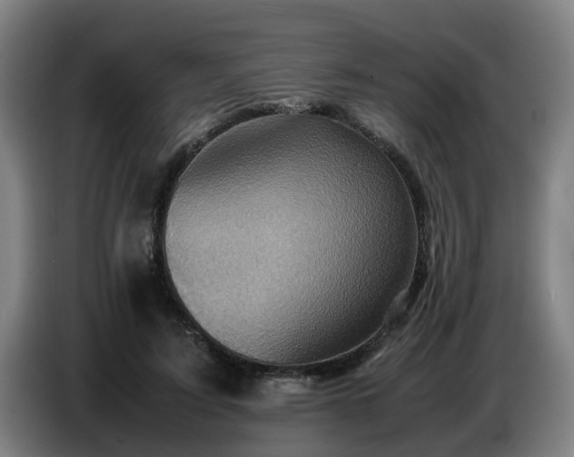 X0000086770595200704201806