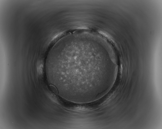 X0000086770596200704201806