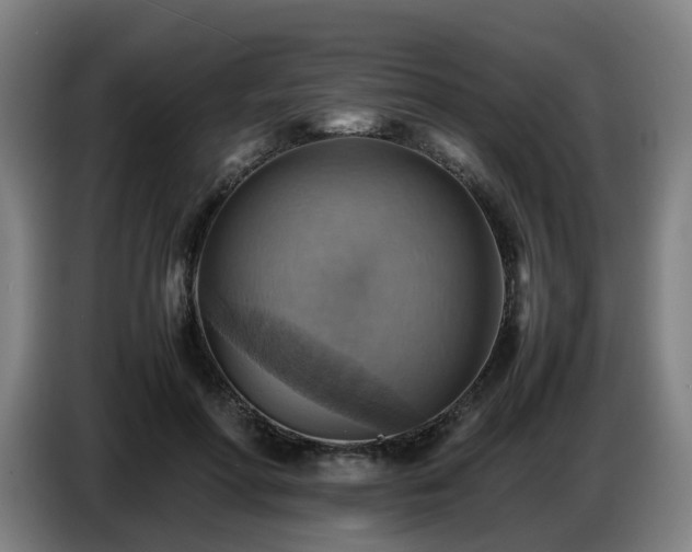 X0000086770598200704201806