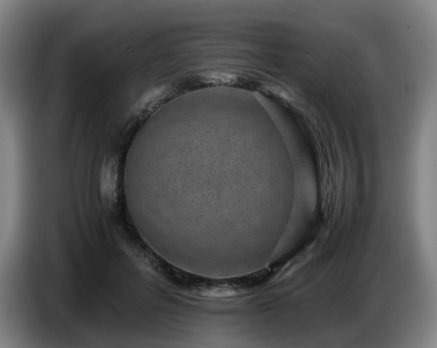 X0000086770600200704201806