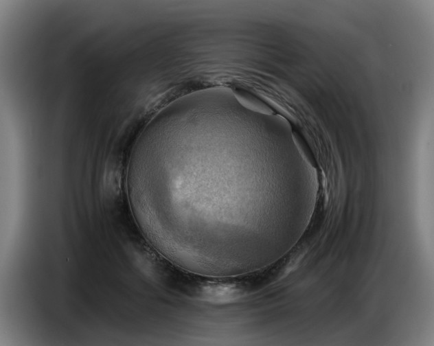 X0000086770602200704201806