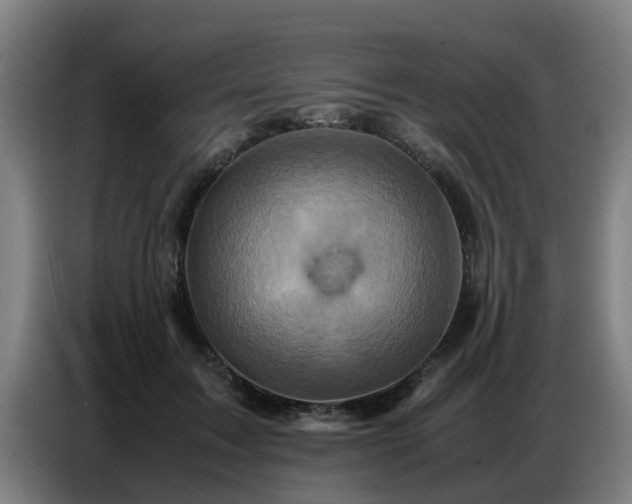 X0000086770603200704201806