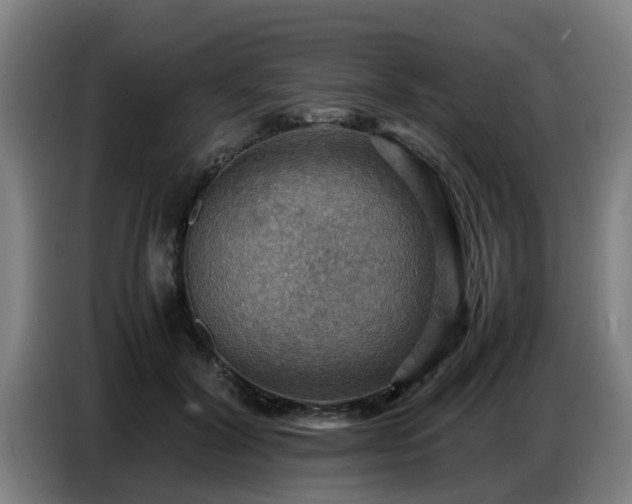 X0000086770604200704201806