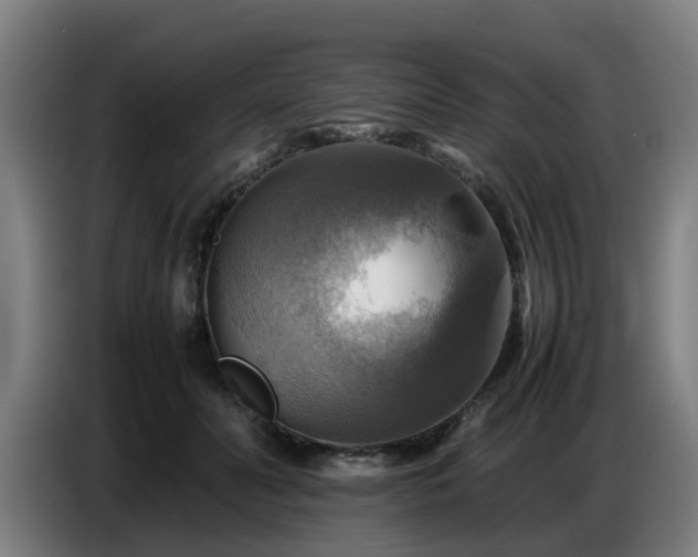 X0000086770606200704201806