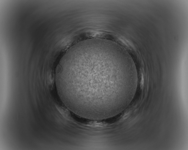 X0000086770607200704201806
