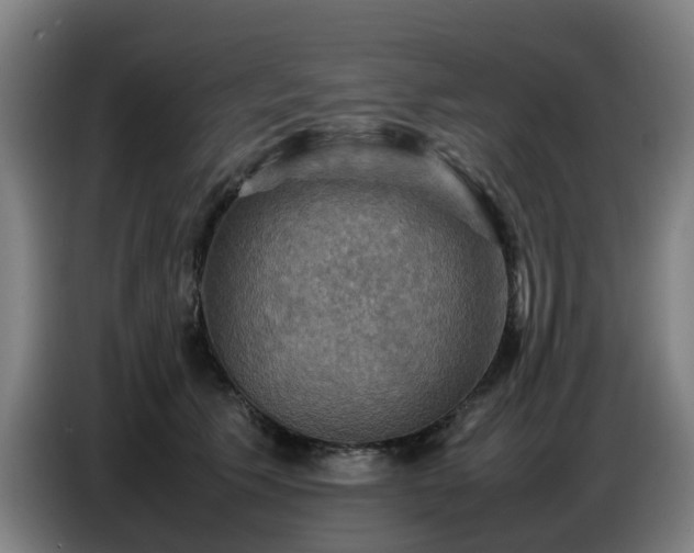 X0000086770609200704201806