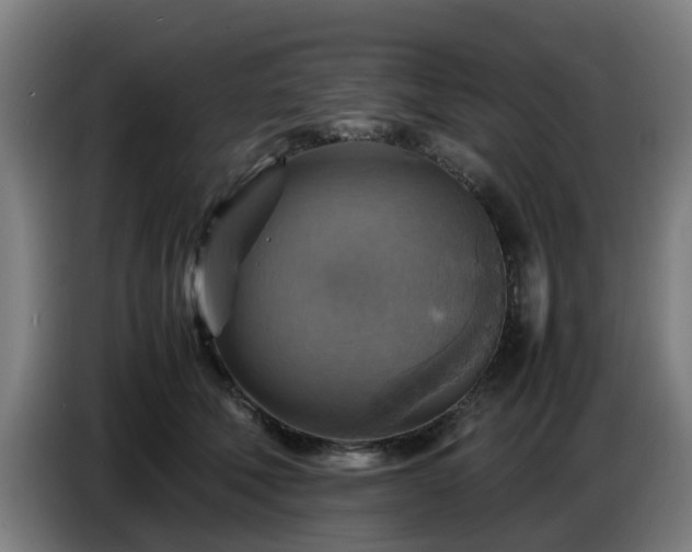 X0000086770610200704201806