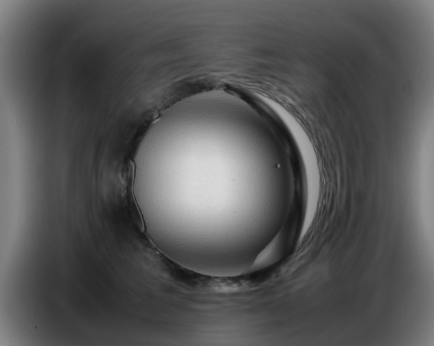 X0000086770613200704201806