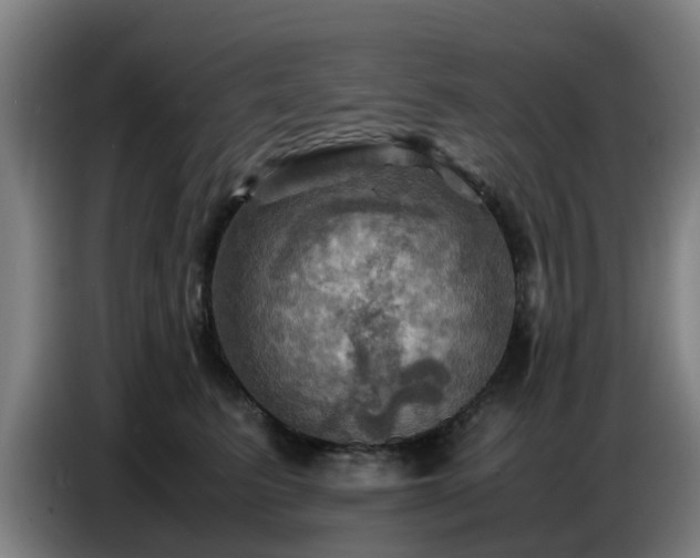 X0000086770615200704201806