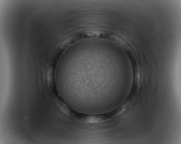 X0000086770616200704201806