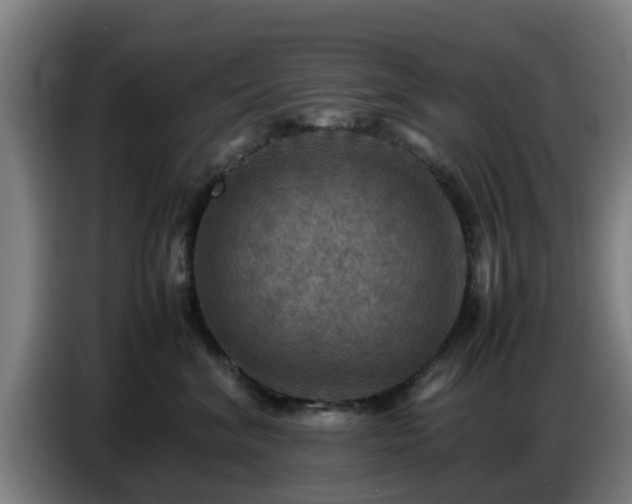 X0000086770620200704201806