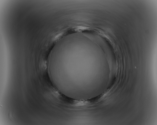 X0000086770621200704201806