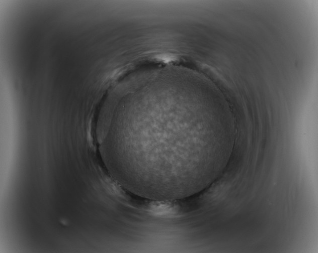 X0000086770624200704201806