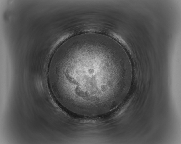 X0000086770625200704201805
