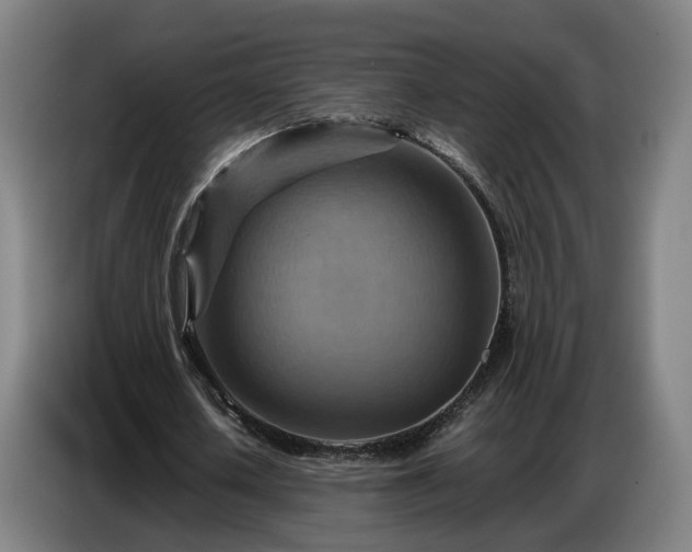 X0000086770626200704201805