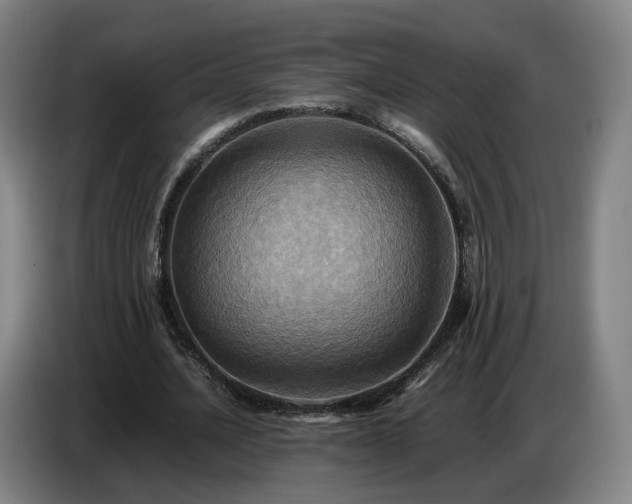 X0000086770628200704201805