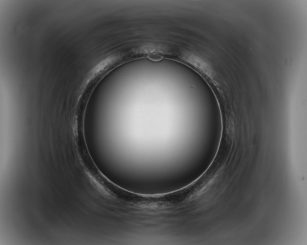 X0000086770629200704201805