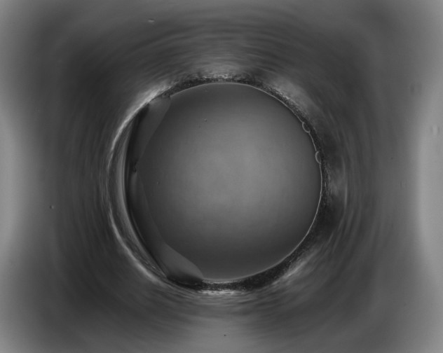 X0000086770630200704201805