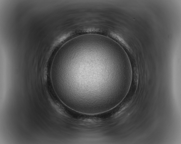 X0000086770631200704201805