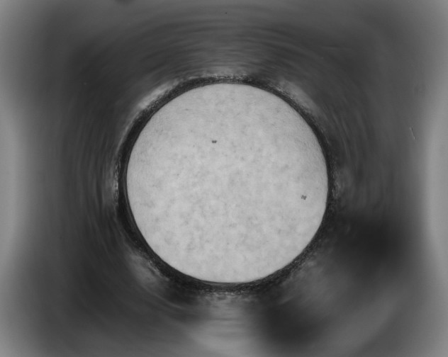 X0000086770632200704201805