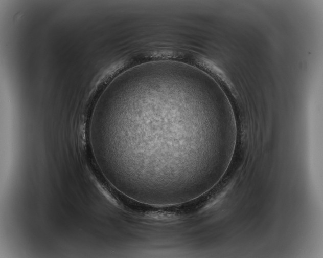 X0000086770633200704201805