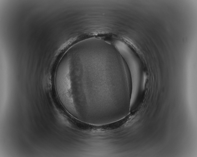X0000086770634200704201805
