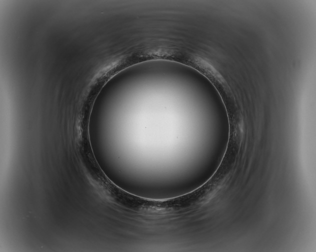 X0000086770635200704201805