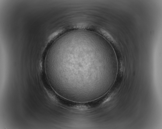 X0000086770636200704201805