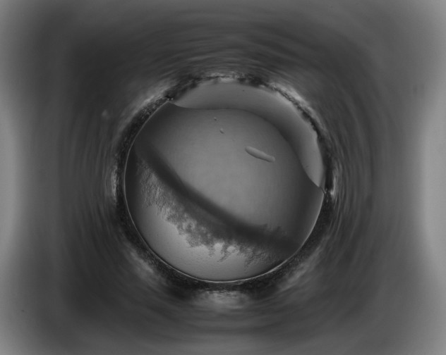 X0000086770637200704201805