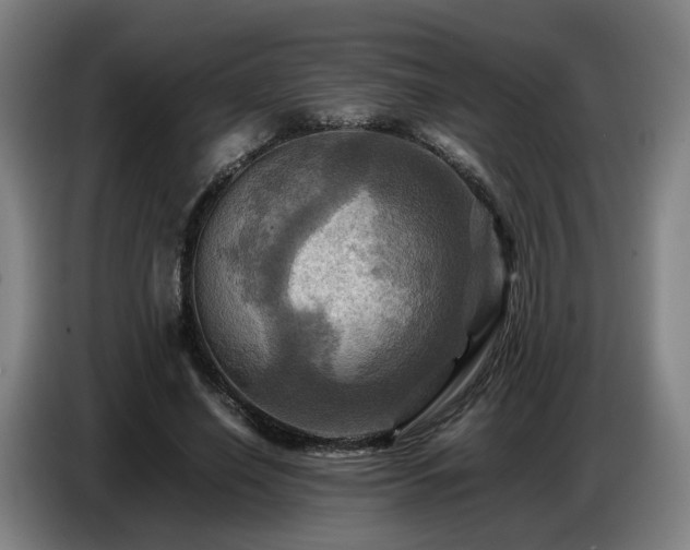 X0000086770638200704201805