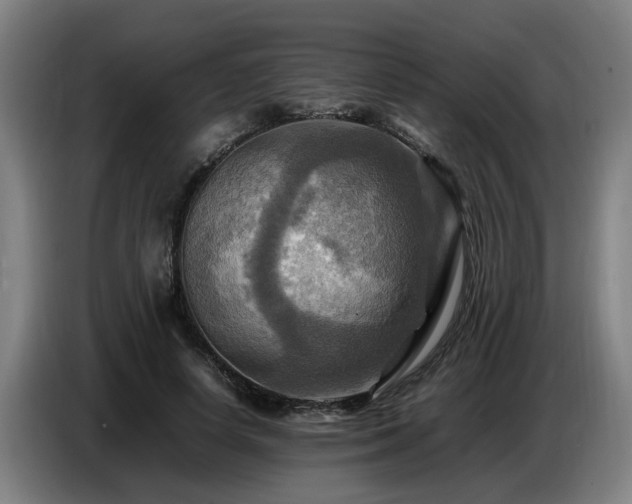 X0000086770642200704201805